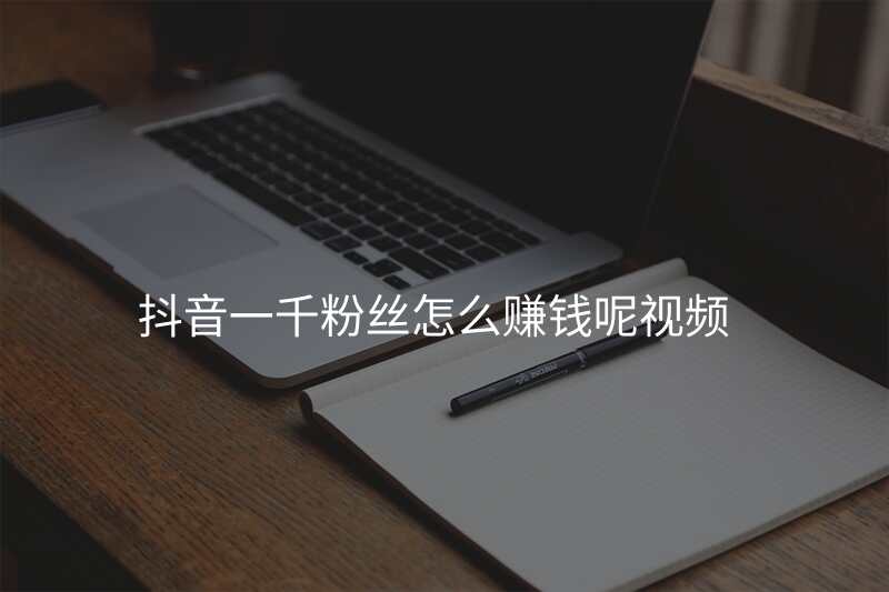 抖音一千粉丝怎么赚钱呢视频