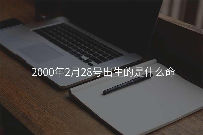 2000年2月28号出生的是什么命