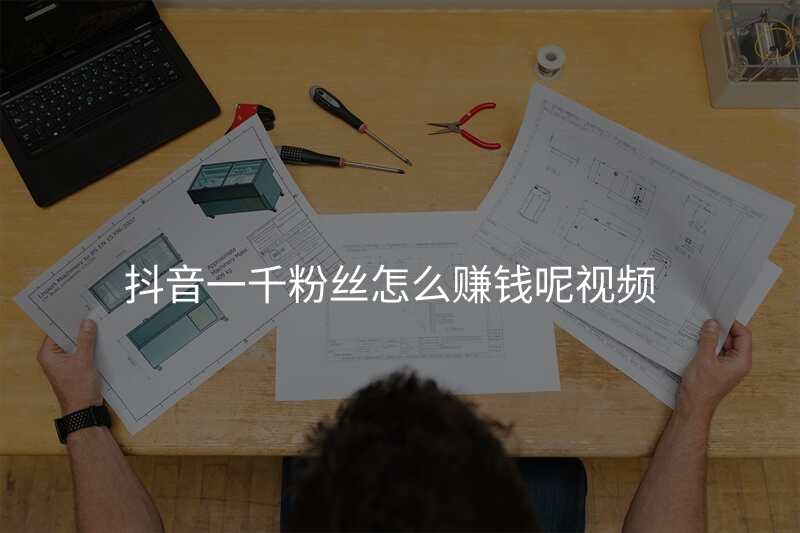 抖音一千粉丝怎么赚钱呢视频