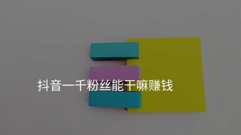 抖音一千粉丝能干嘛赚钱