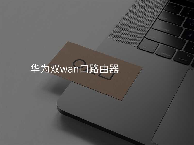 华为双wan口路由器