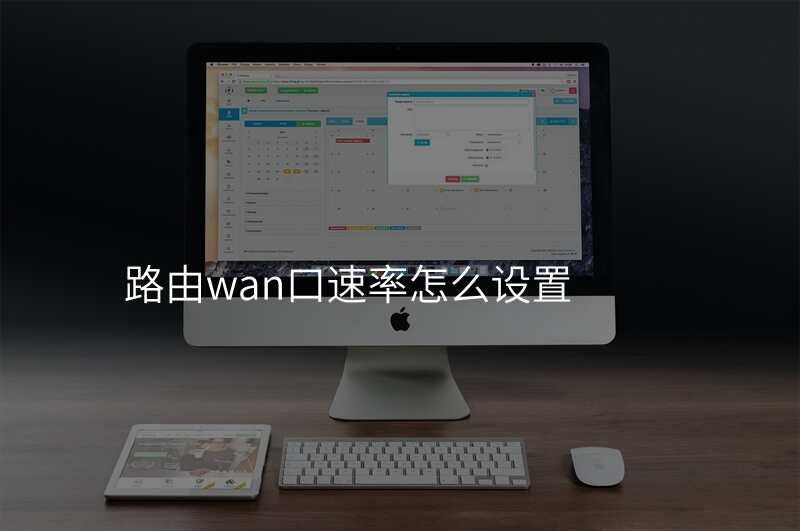 路由wan口速率怎么设置