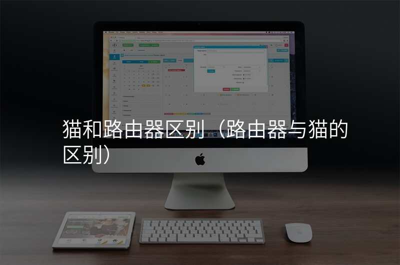 猫和路由器区别(路由器与猫的区别)