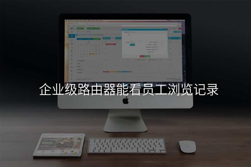 企业级路由器能看员工浏览记录
