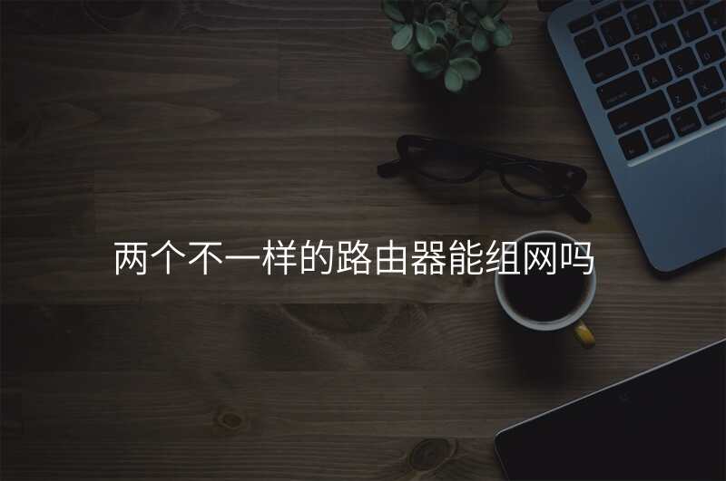 两个不一样的路由器能组网吗