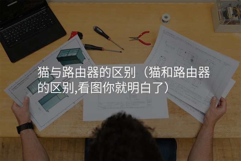 猫与路由器的区别(猫和路由器的区别,看图你就明白了)