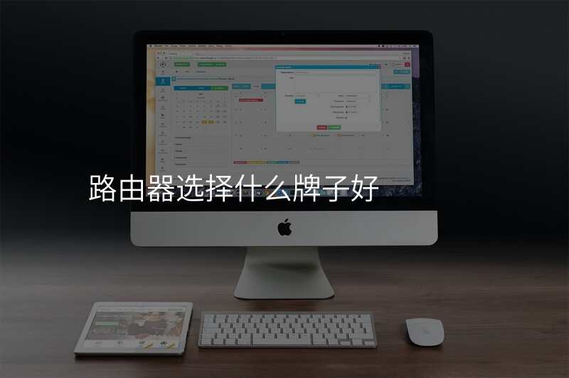 路由器选择什么牌子好