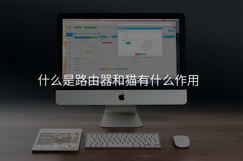 什么是路由器和猫有什么作用