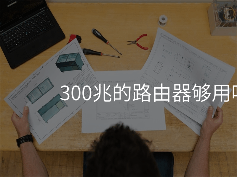 300兆的路由器够用吗