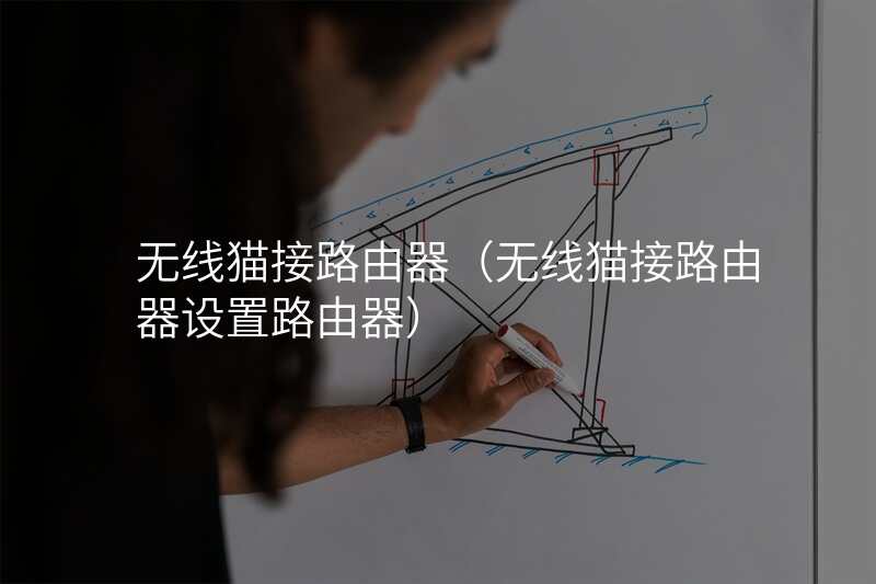 无线猫接路由器(无线猫接路由器设置路由器)