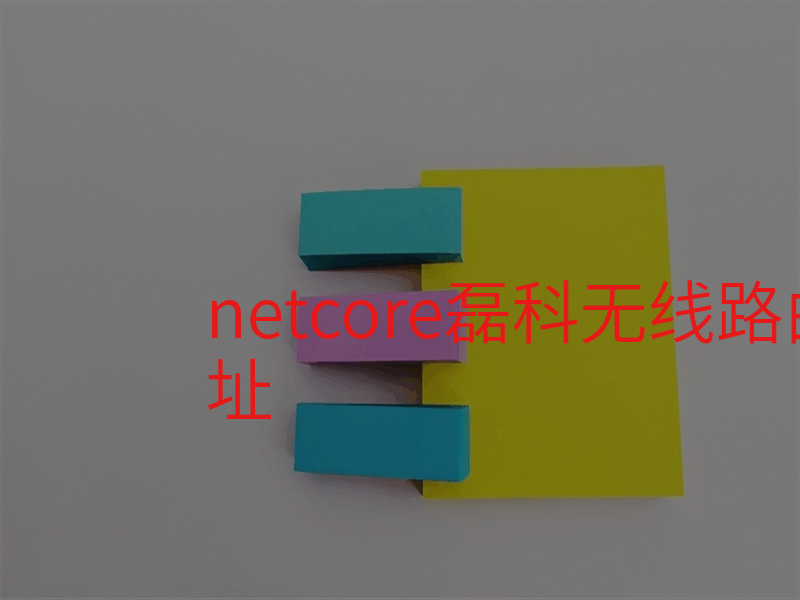 netcore磊科无线路由器登录网址