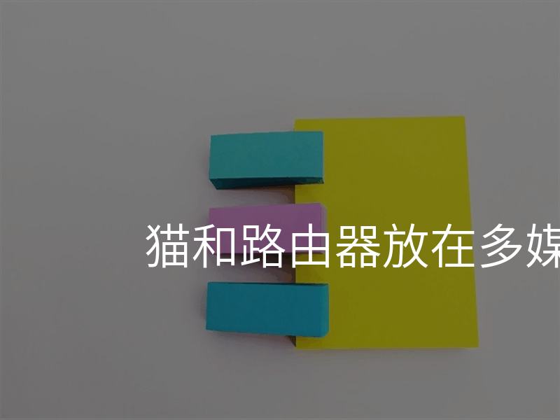 猫和路由器放在多媒体线箱