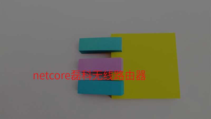 netcore磊科无线路由器
