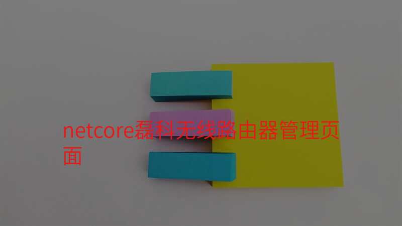 netcore磊科无线路由器管理页面