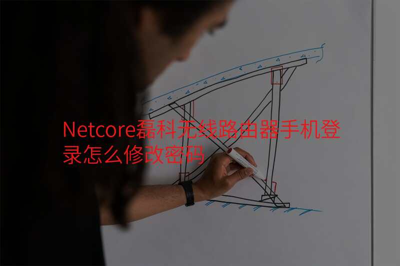 Netcore磊科无线路由器手机登录怎么修改密码
