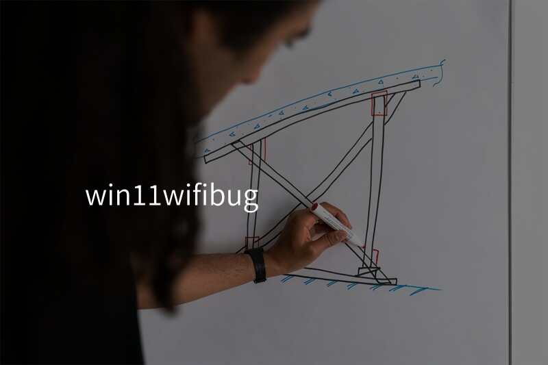 win11wifibug