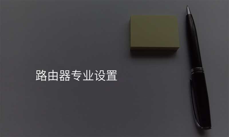 路由器专业设置