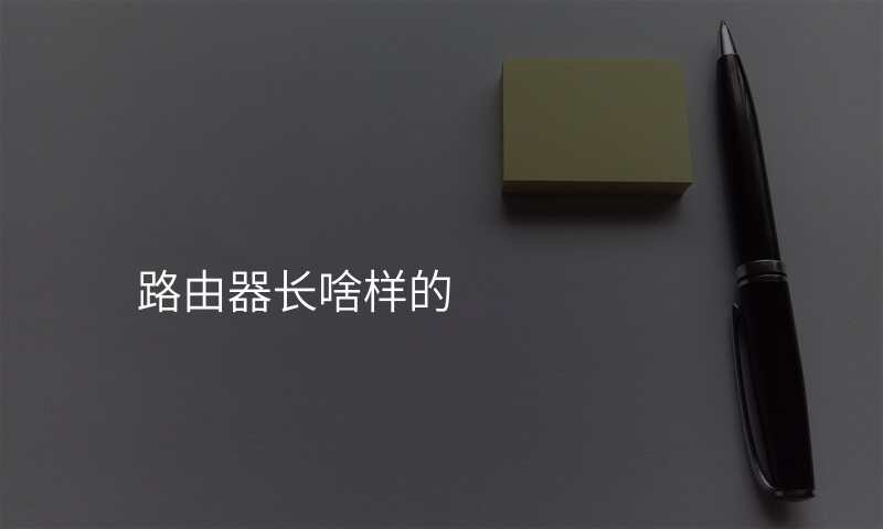 路由器长啥样的