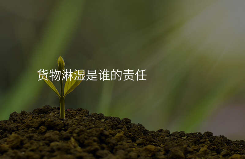 货物淋湿是谁的责任
