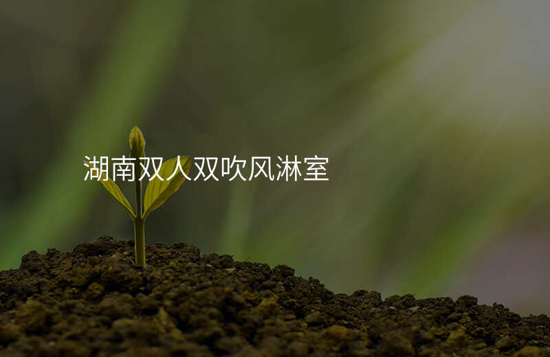 湖南双人双吹风淋室