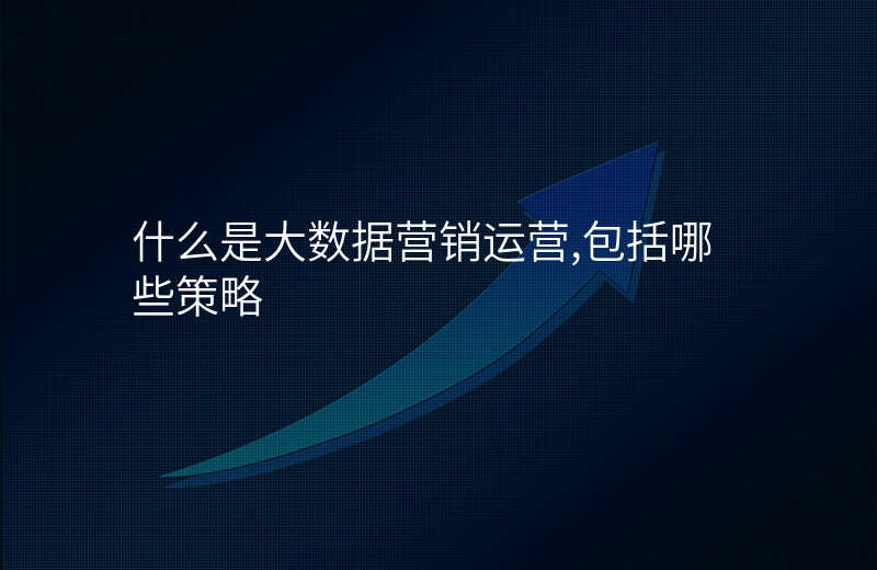 什么是大数据营销(图2)