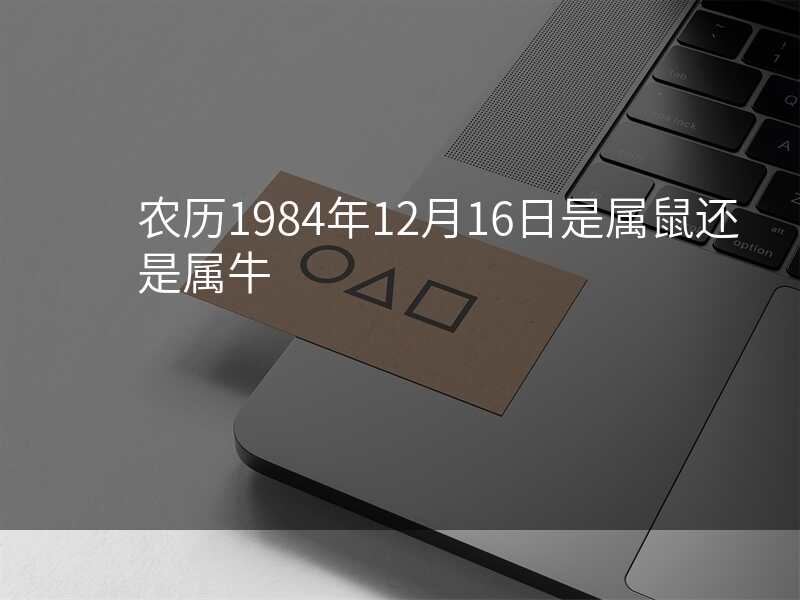 农历1984年12月16日是属鼠还是属牛