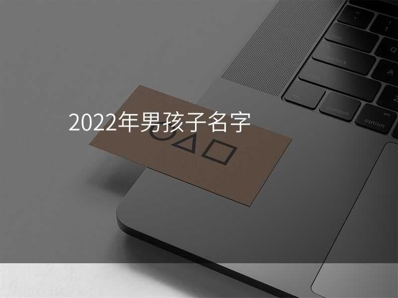 2022年男孩子名字