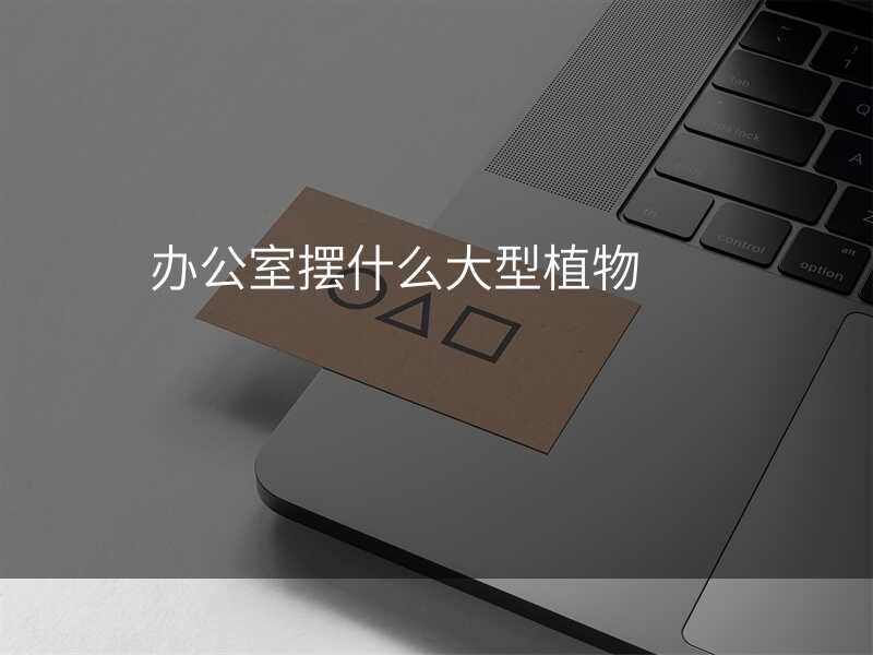 办公室摆什么大型植物