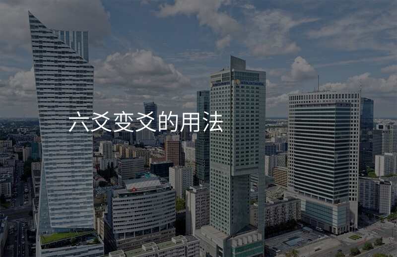 六爻变爻的用法
