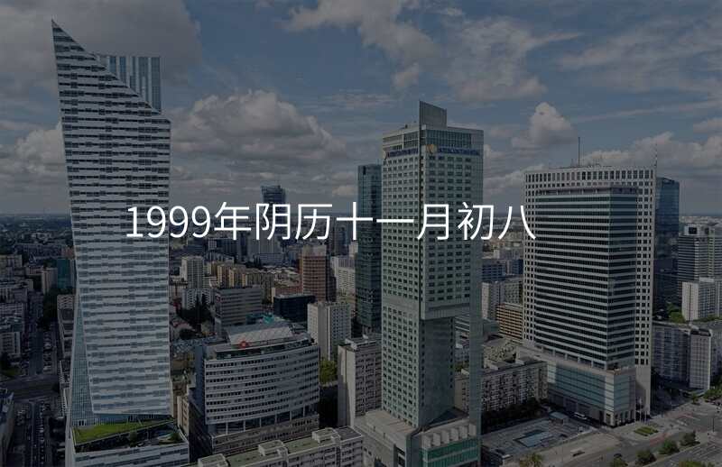 1999年阴历十一月初八
