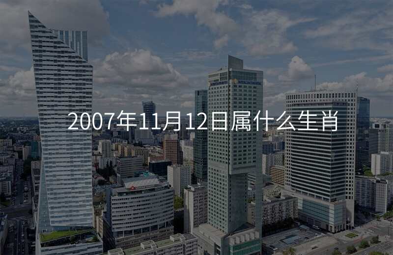 2007年11月12日属什么生肖