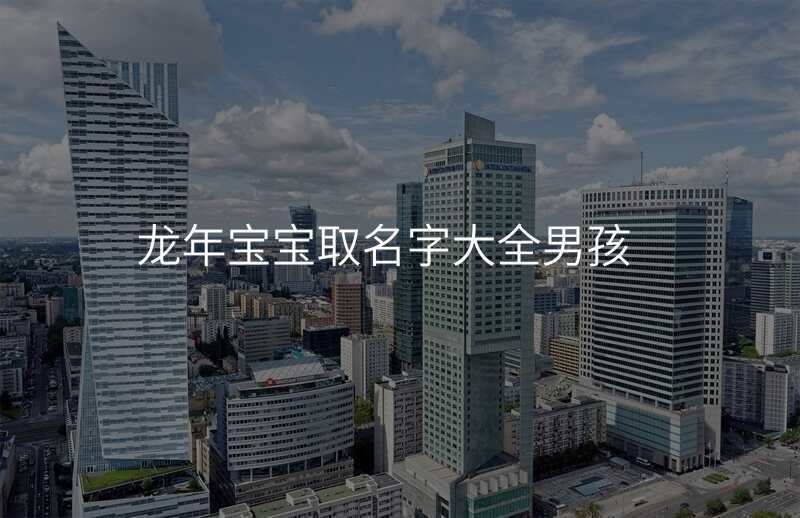龙年宝宝取名字大全男孩