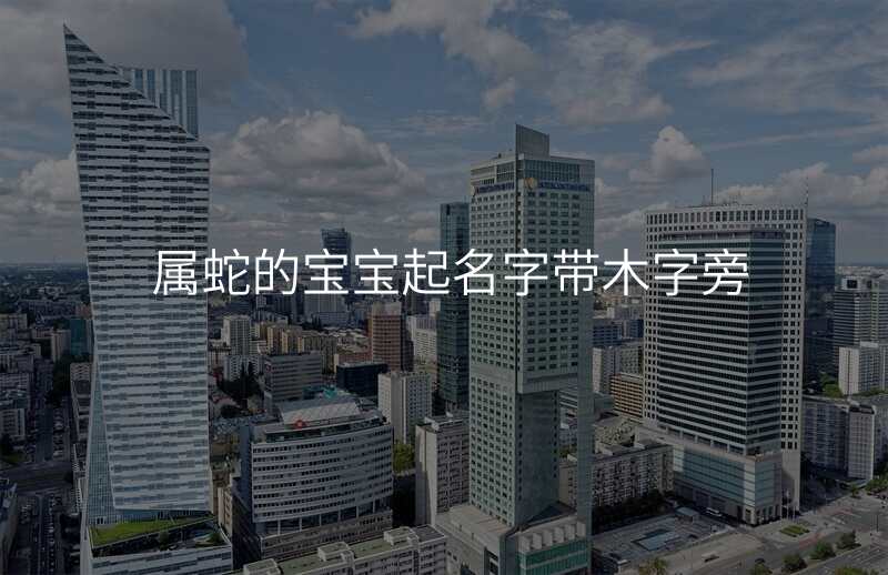 属蛇的宝宝起名字带木字旁