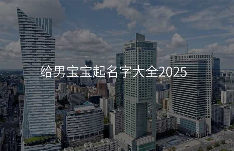 给男宝宝起名字大全2025