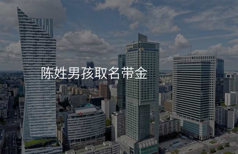 陈姓男孩取名带金