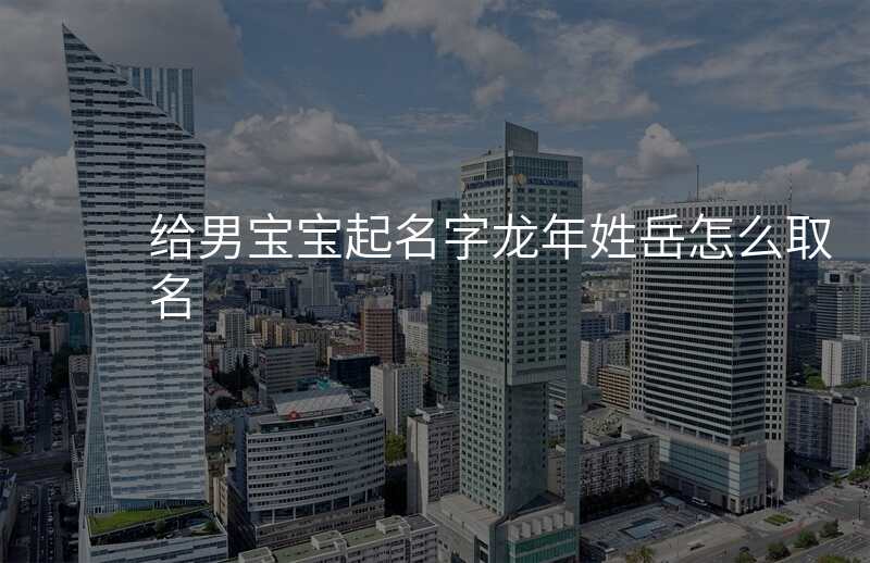 给男宝宝起名字龙年姓岳怎么取名