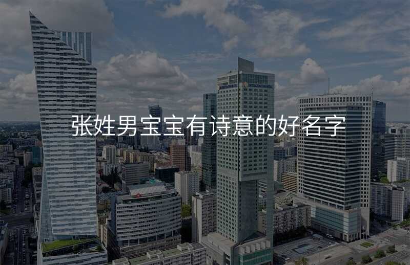张姓男宝宝有诗意的好名字