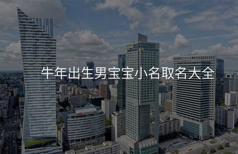 牛年出生男宝宝小名取名大全