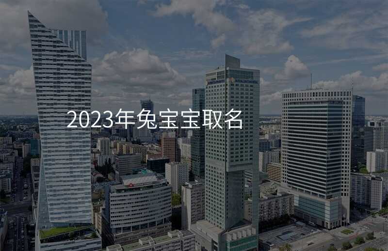 2023年兔宝宝取名