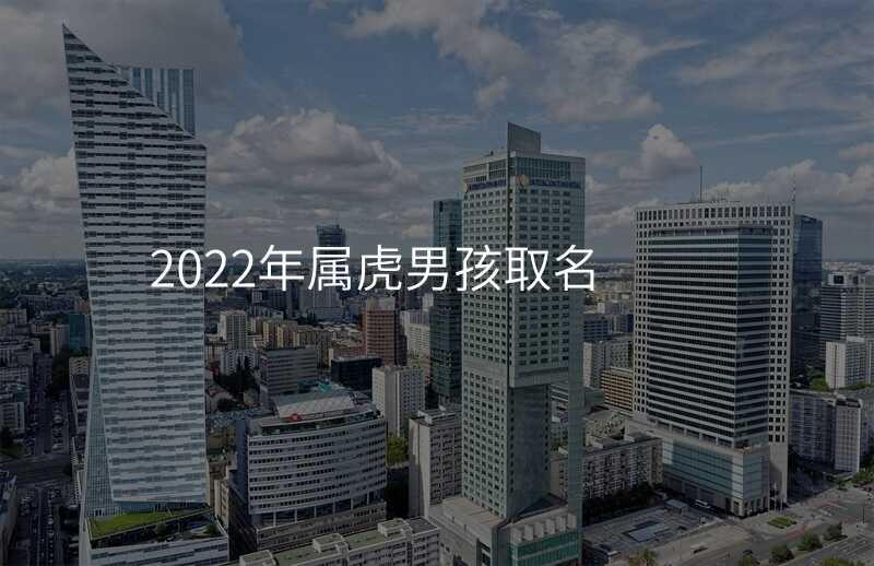 2022年属虎男孩取名