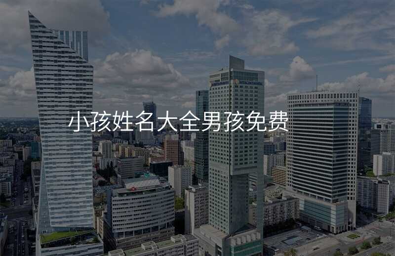 小孩姓名大全男孩免费