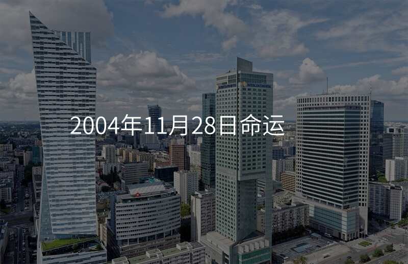 2004年11月28日命运
