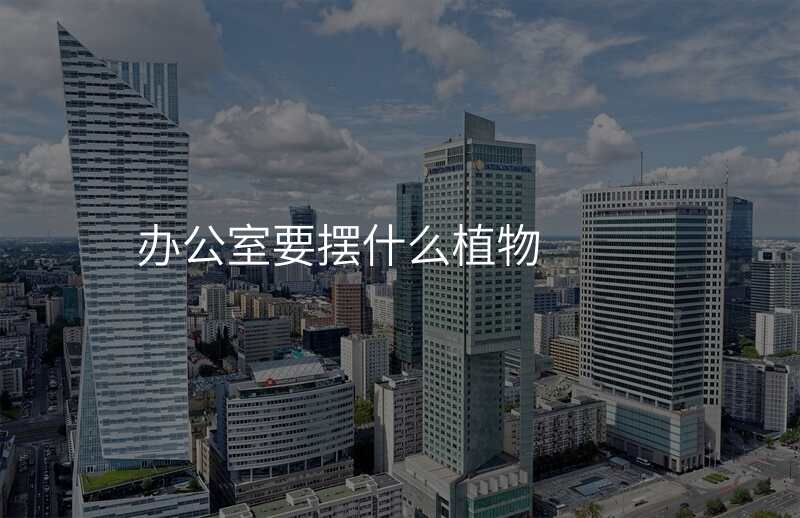 办公室要摆什么植物