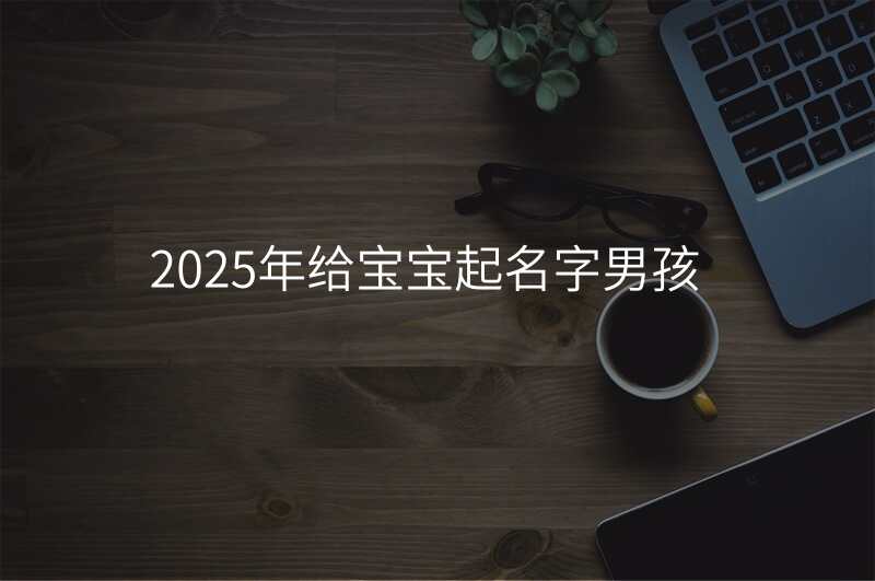 2025年给宝宝起名字男孩