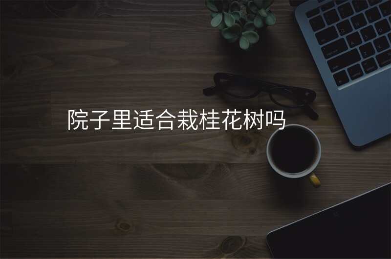 院子里适合栽桂花树吗