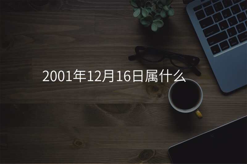 2001年12月16日属什么