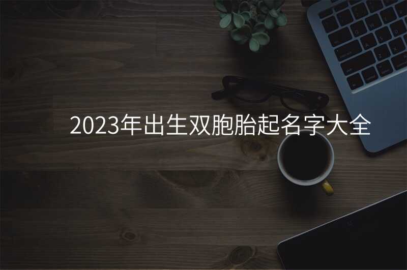 2023年出生双胞胎起名字大全