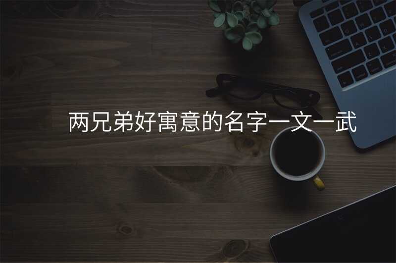 两兄弟好寓意的名字一文一武