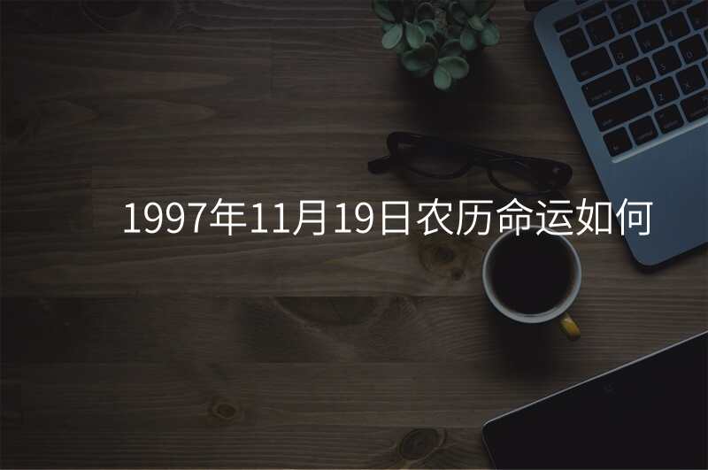 1997年11月19日农历命运如何