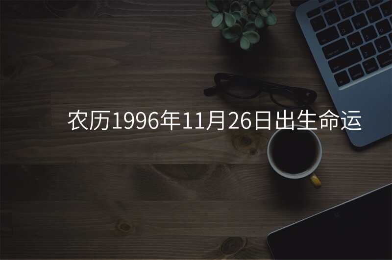 农历1996年11月26日出生命运